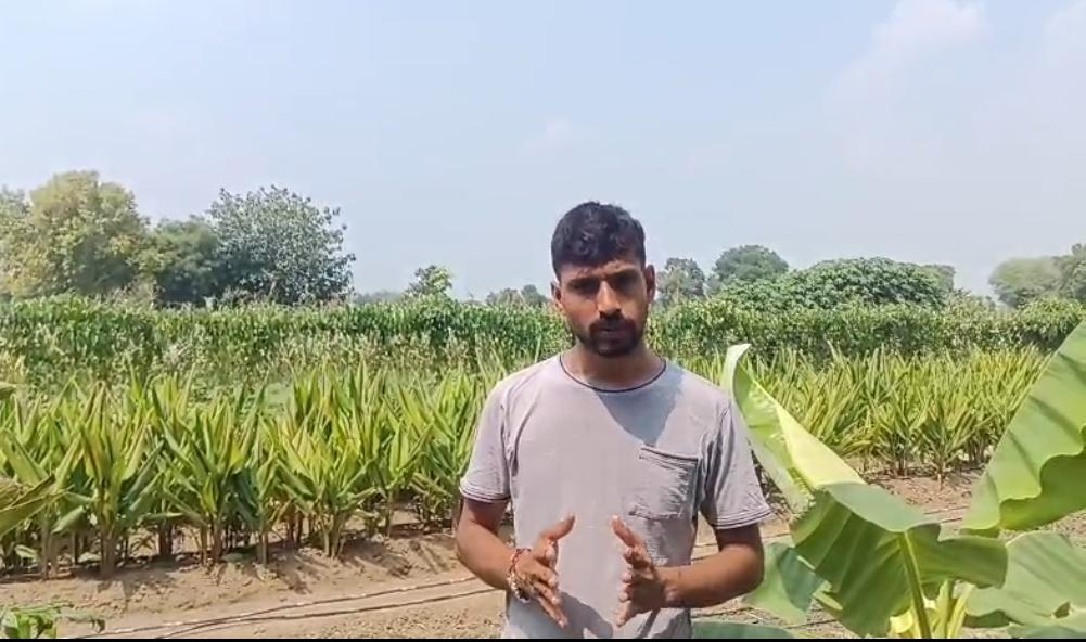प्राकृतिक एवं जैविक खेती अपनाकर आत्मनिर्भरता की ओर बढ़ रहे किसान बलराम